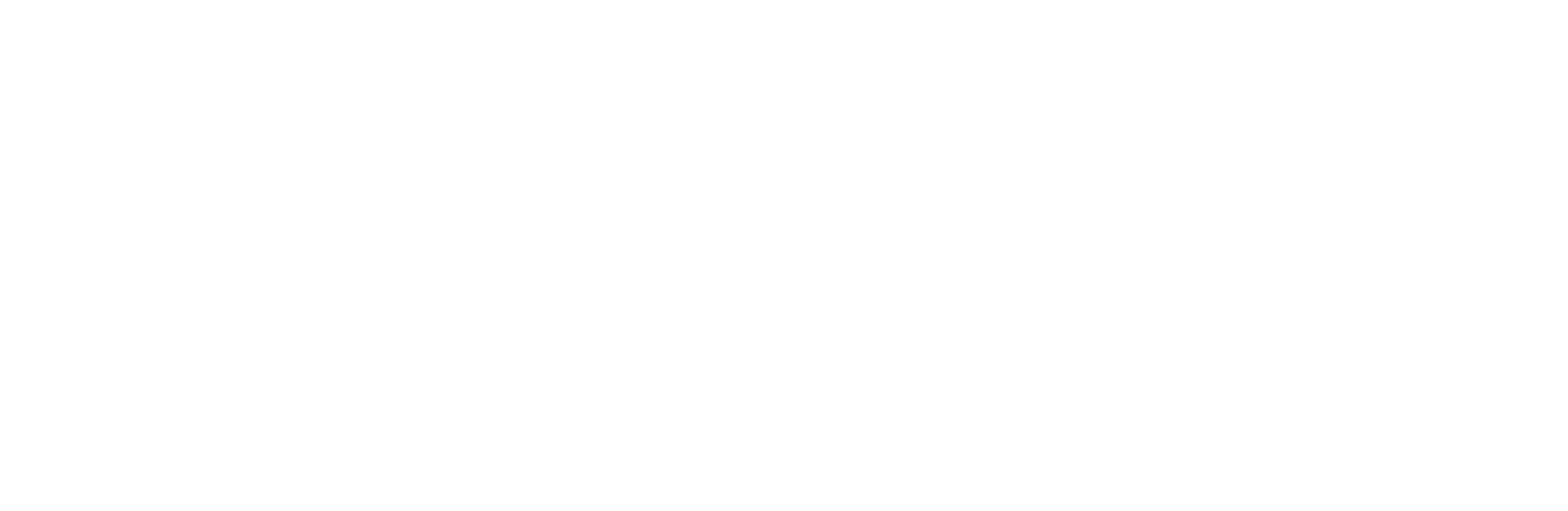 Alfiero Shop